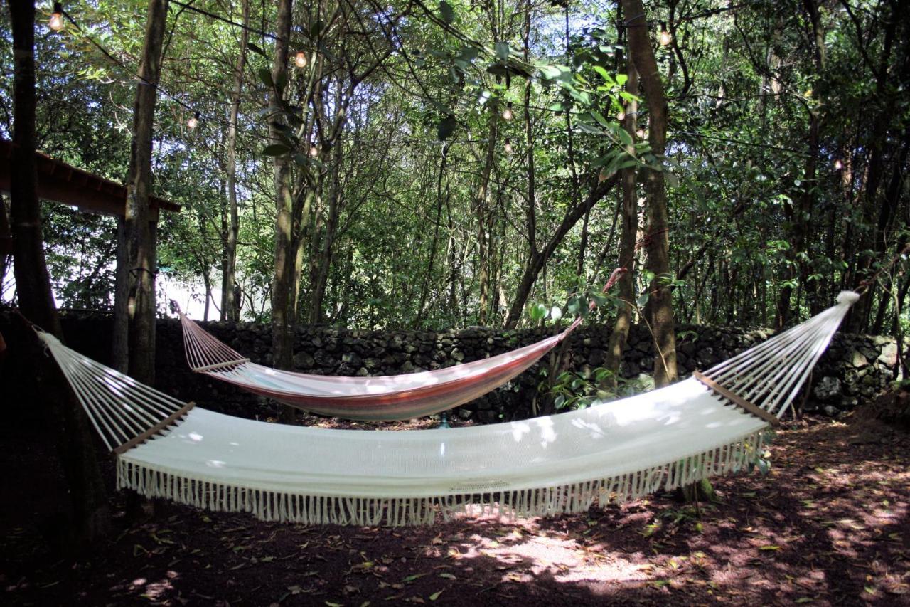 Azores Casa Da Mata Wellness Spa São Vicente Ferreira 外观 照片